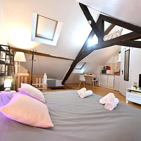 Le Cosy Du Tambour D'Argent Apartment Sens Exterior photo