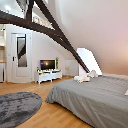Le Cosy Du Tambour D'Argent Apartment Sens Exterior photo